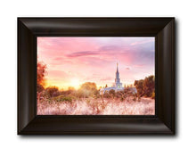 Load image into Gallery viewer, Sacramento Fire Of The Covenant