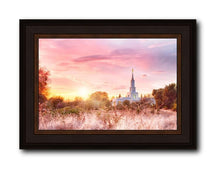 Load image into Gallery viewer, Sacramento Fire Of The Covenant