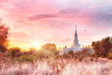 Load image into Gallery viewer, Sacramento Fire of the Covenant Gallery Wrap