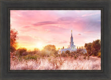 Load image into Gallery viewer, Sacramento Fire of the Covenant