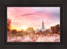 Load image into Gallery viewer, Sacramento Fire of the Covenant