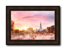 Load image into Gallery viewer, Sacramento Fire Of The Covenant