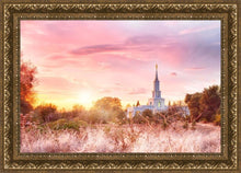 Load image into Gallery viewer, Sacramento Fire of the Covenant