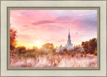 Load image into Gallery viewer, Sacramento Fire of the Covenant