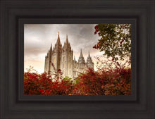 Load image into Gallery viewer, Salt Lake Autumn Trees