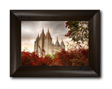 Load image into Gallery viewer, Salt Lake Autumn Trees