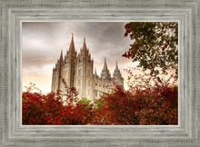 Load image into Gallery viewer, Salt Lake Autumn Trees