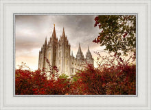 Load image into Gallery viewer, Salt Lake Autumn Trees