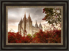 Load image into Gallery viewer, Salt Lake Autumn Trees
