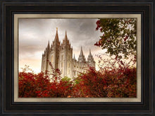 Load image into Gallery viewer, Salt Lake Autumn Trees