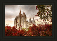 Load image into Gallery viewer, Salt Lake Autumn Trees