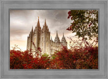 Load image into Gallery viewer, Salt Lake Autumn Trees
