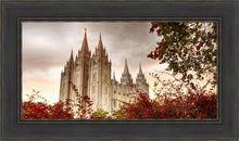 Load image into Gallery viewer, Salt Lake Autumn Trees