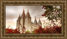 Load image into Gallery viewer, Salt Lake Autumn Trees
