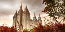 Load image into Gallery viewer, Salt Lake Autumn Trees
