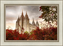 Load image into Gallery viewer, Salt Lake Autumn Trees