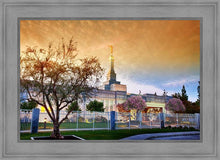 Load image into Gallery viewer, Fresno 03