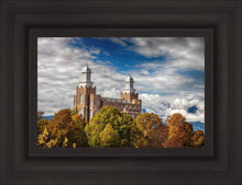 Load image into Gallery viewer, Logan in the Clouds