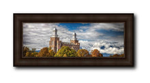 Load image into Gallery viewer, Logan In The Clouds
