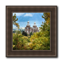 Load image into Gallery viewer, Logan Through the Trees