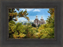 Load image into Gallery viewer, Logan Through the Trees