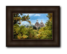 Load image into Gallery viewer, Logan Through The Trees