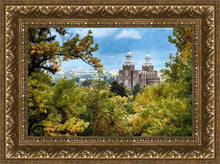 Load image into Gallery viewer, Logan Through the Trees