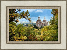 Load image into Gallery viewer, Logan Through the Trees