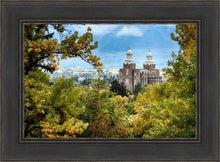Load image into Gallery viewer, Logan Through the Trees