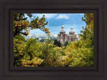 Load image into Gallery viewer, Logan Through the Trees