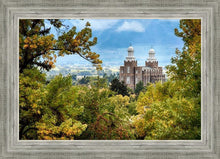 Load image into Gallery viewer, Logan Through the Trees
