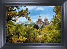 Load image into Gallery viewer, Logan Through The Trees