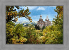 Load image into Gallery viewer, Logan Through the Trees
