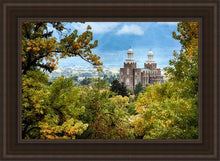 Load image into Gallery viewer, Logan Through The Trees