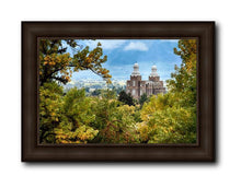 Load image into Gallery viewer, Logan Through The Trees