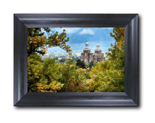 Load image into Gallery viewer, Logan Through The Trees