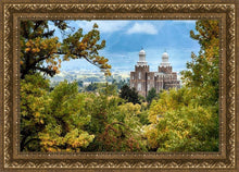 Load image into Gallery viewer, Logan Through the Trees