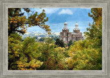 Load image into Gallery viewer, Logan Through the Trees