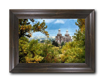Load image into Gallery viewer, Logan Through The Trees
