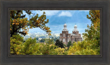 Load image into Gallery viewer, Logan Through the Trees