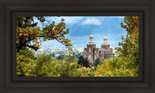 Load image into Gallery viewer, Logan Through the Trees