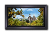 Load image into Gallery viewer, Logan Through The Trees