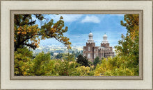 Load image into Gallery viewer, Logan Through the Trees