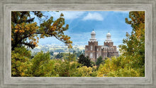 Load image into Gallery viewer, Logan Through the Trees