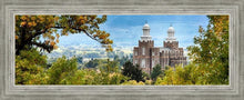 Load image into Gallery viewer, Logan Through the Trees