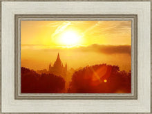 Load image into Gallery viewer, Oakland 02