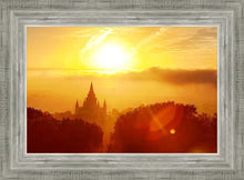 Load image into Gallery viewer, Oakland 02