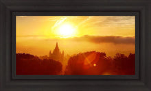 Load image into Gallery viewer, Oakland 02