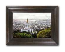 Load image into Gallery viewer, Oakland 07