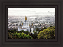 Load image into Gallery viewer, Oakland 07
